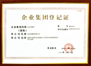Enterprise Group Registration Certificate 
